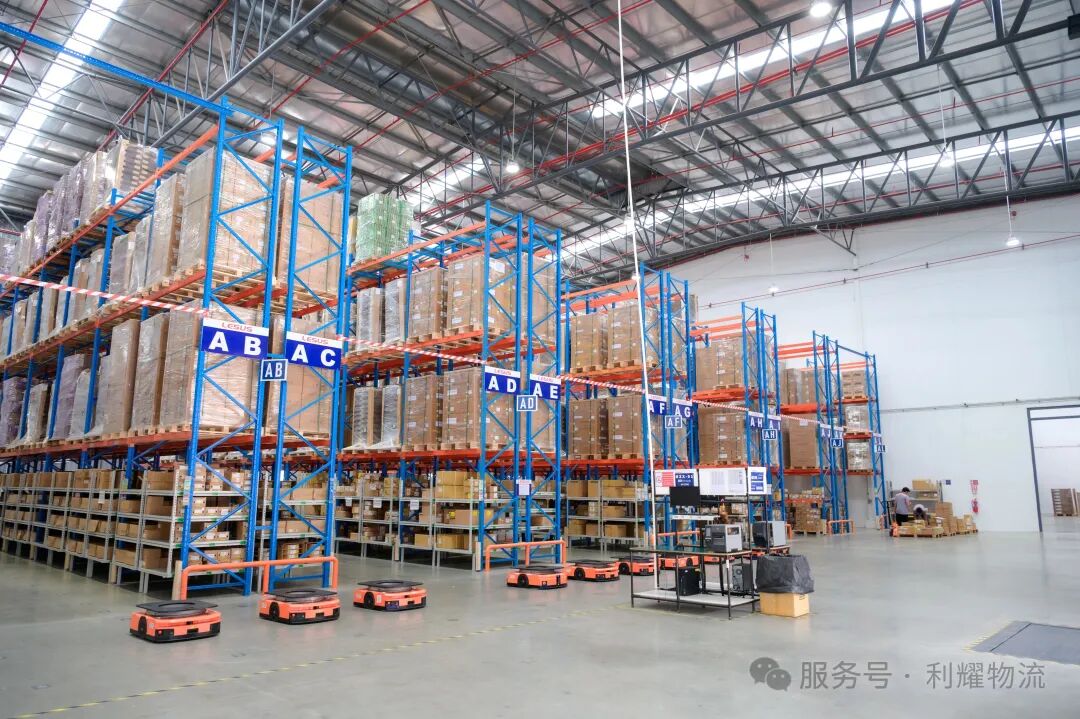 欧美成人精品A片免费一区99